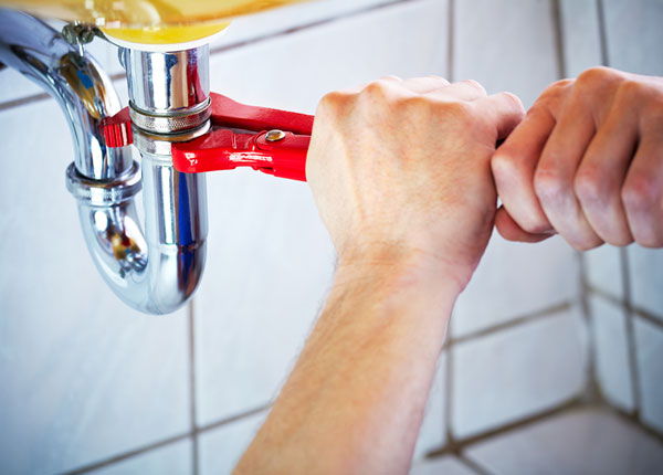 About Rankin Plumbers